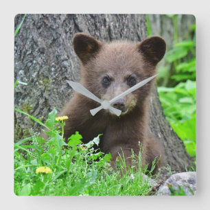Cutest Baby Animals   Brown Bear Cub Quadratische Wanduhr