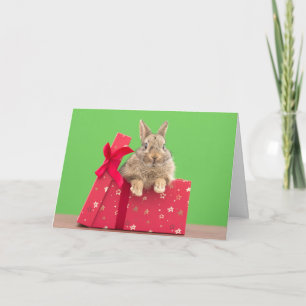 Cutest Baby Animals Christmas Holiday Bunny Karte