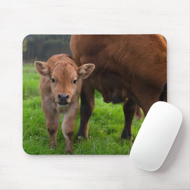Cutest Baby Animals | Cow & Calf Mousepad (Mit Mouse)