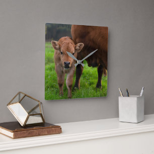Cutest Baby Animals   Cow & Calf Quadratische Wanduhr