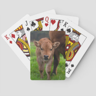 Cutest Baby Animals   Cow & Calf Spielkarten
