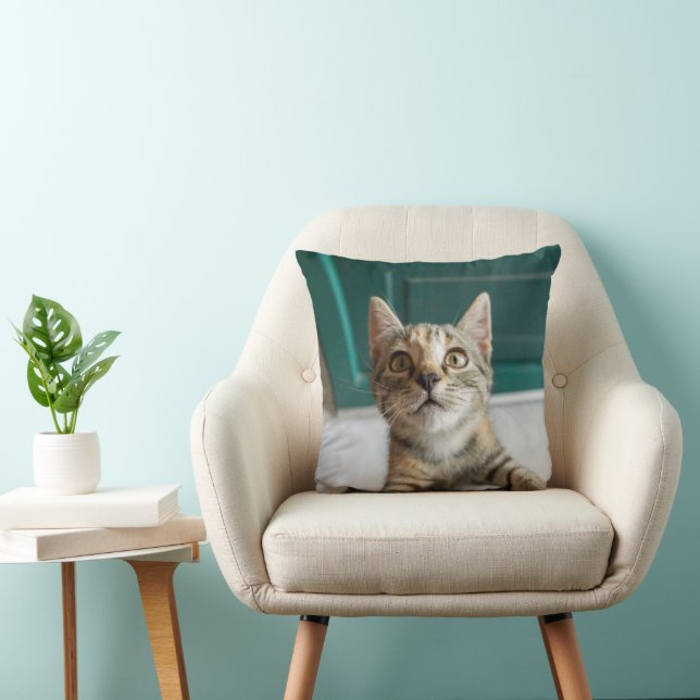 Cutest Baby Animals | Cute Tabby Kitten Kissen (Stuhl )