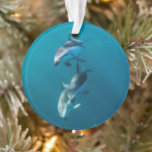 Cutest Baby Animals | Dolphin Family Ornament<br><div class="desc">This cute Getty baby animals image features an underwater dolphin family.</div>
