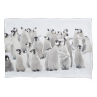 Cutest Baby Animals | Emperor Penguin Chicks