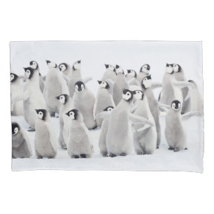 Cutest Baby Animals Emperor Penguin Chicks Kissenbezug