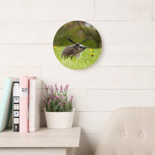 Cutest Baby Animals   European Hedgehog Große Wanduhr