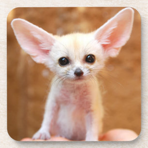 Cutest Baby Animals   Fennec Fox Getränkeuntersetzer