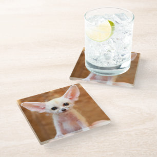 Cutest Baby Animals   Fennec Fox Glasuntersetzer