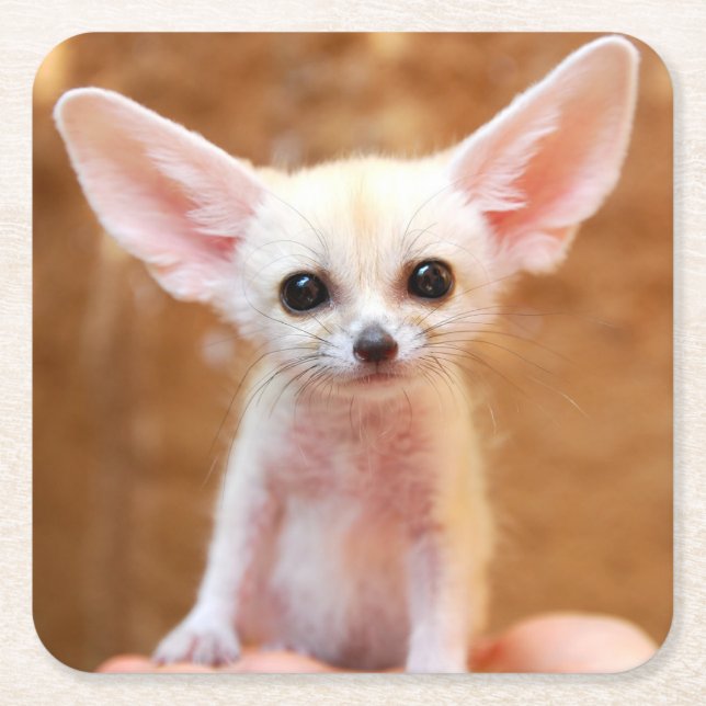 Cutest Baby Animals | Fennec Fox Rechteckiger Pappuntersetzer (Vorderseite)