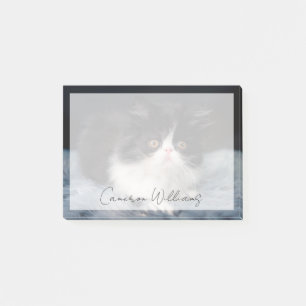 Cutest Baby Animals   Fluffy B&W Kitten Post-it Klebezettel