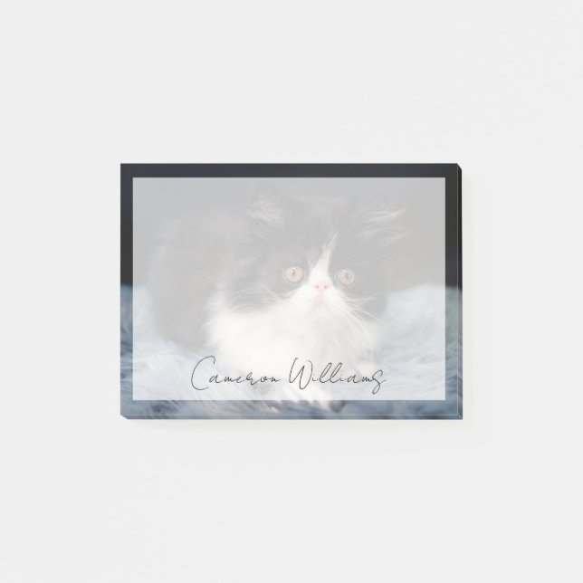 Cutest Baby Animals | Fluffy B&W Kitten Post-it Klebezettel (Vorderseite)