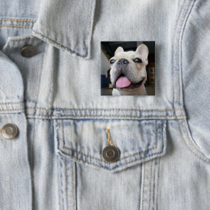 Cutest Baby Animals   French Bulldog Face Button