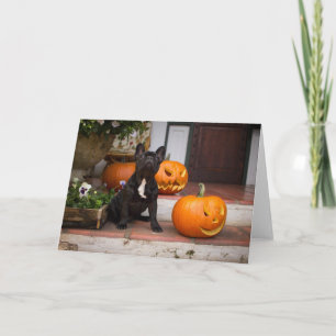 Cutest Baby Animals   French Bulldog Halloween Karte