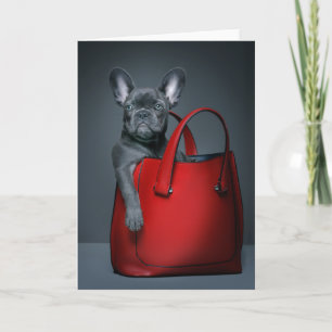 Cutest Baby Animals   French Bulldog in Handbag Karte
