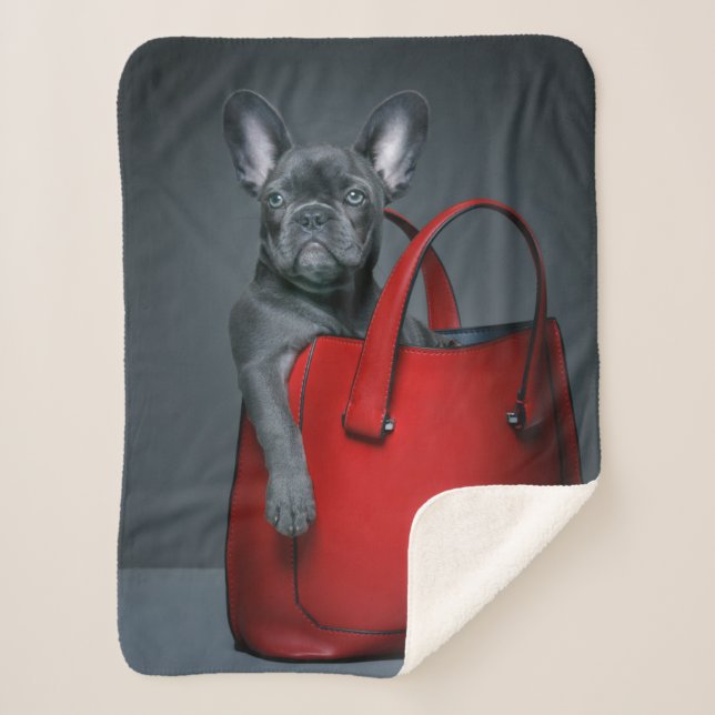 Cutest Baby Animals | French Bulldog in Handbag Sherpadecke (Vorderseite)