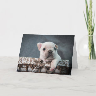 Cutest Baby Animals French Bulldog Karte