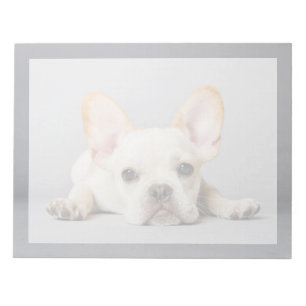 Cutest Baby Animals   French Bulldog Lying Down Notizblock