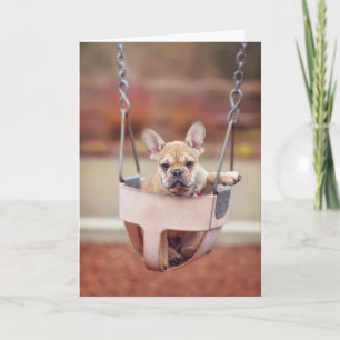 Cutest Baby Animals   French Bulldog Playground Karte