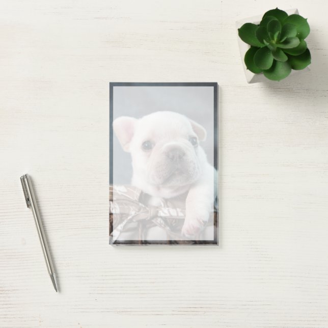 Cutest Baby Animals | French Bulldog Post-it Klebezettel (Büro)