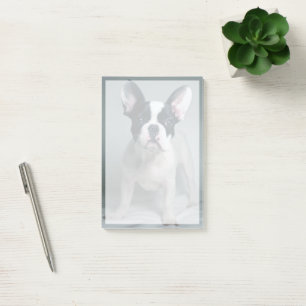 Cutest Baby Animals French Bulldog Puppy Post-it Klebezettel