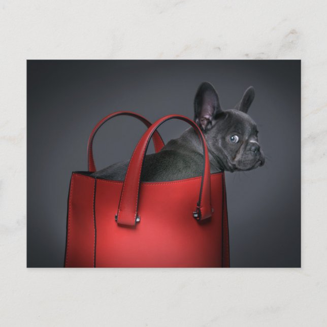 Cutest Baby Animals | French Bulldog Red Hand Bag Postkarte (Vorderseite)