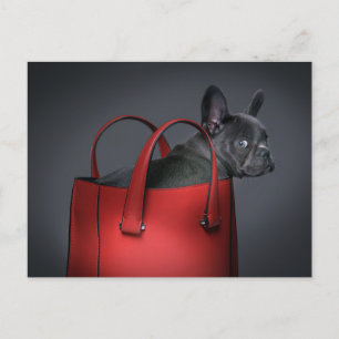 Cutest Baby Animals French Bulldog Red Hand Bag Postkarte