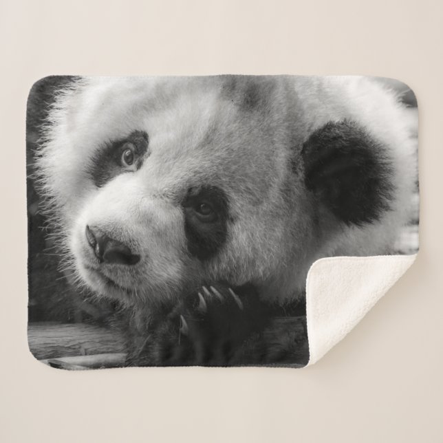 Cutest Baby Animals | Giant Panda Bear Cub Sherpadecke (Vorderseite (Horizontal))