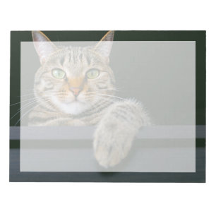 Cutest Baby Animals   Gray Tabby Cat Face Notizblock