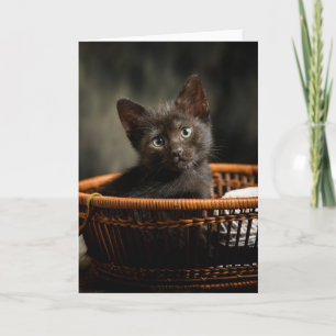 Cutest Baby Animals   Kitten in Basket Karte