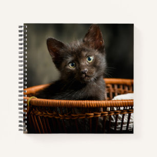 Cutest Baby Animals Kitten in Basket Notizbuch