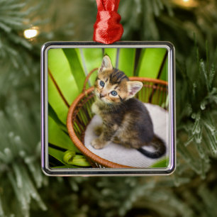 Cutest Baby Animals   Kitten in Basket Ornament Aus Metall