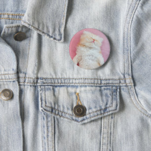 Cutest Baby Animals Lovely Kitten Sleeping Button