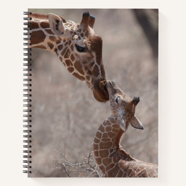 Cutest Baby Animals | Mother and Baby Giraffe Notizbuch (Vorderseite)