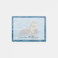 Cutest Baby Animals | Mother & Baby Sea Otter