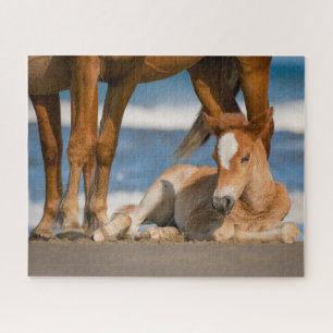 Cutest Baby Animals   Newborn Corolla Wild Horse Puzzle
