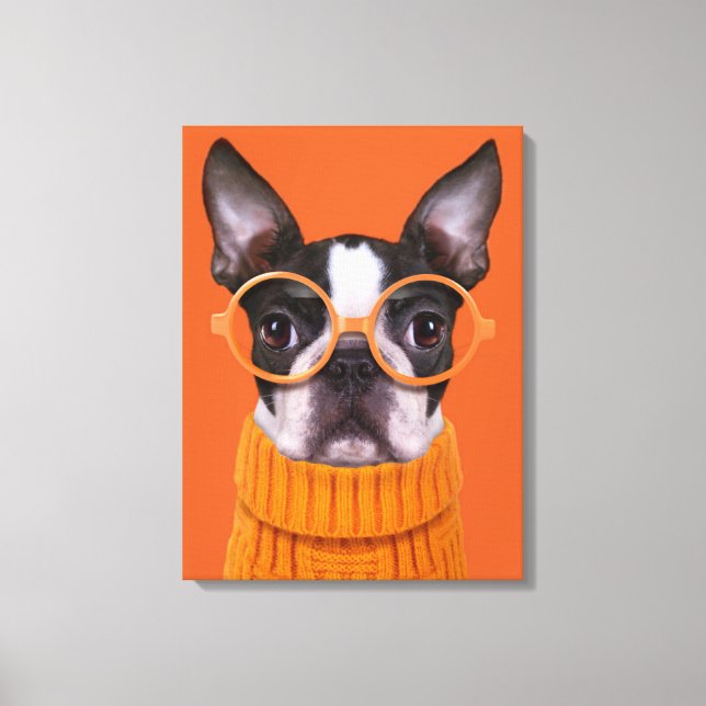 Cutest Baby Animals | Orange Boston Terrier Leinwanddruck (Vorderseite)