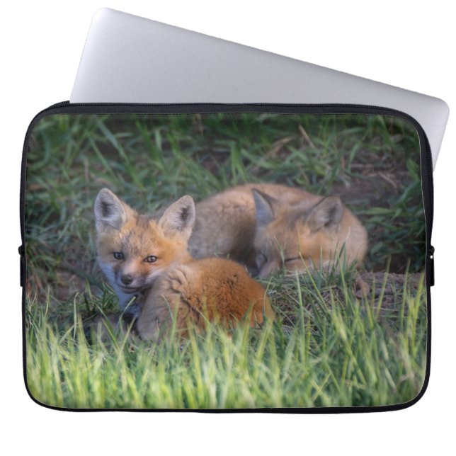 Cutest Baby Animals | Pair of Red Fox Kit Siblings Laptopschutzhülle (Vorderseite)
