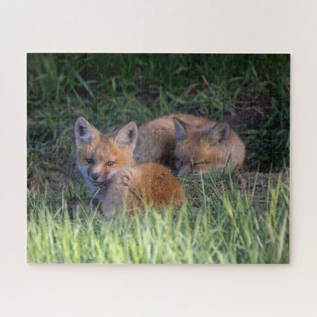 Cutest Baby Animals | Pair of Red Fox Kit Siblings Puzzle (Horizontal)