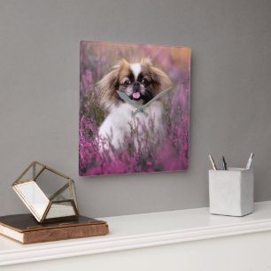 Cutest Baby Animals   Pekingese Puppy Quadratische Wanduhr