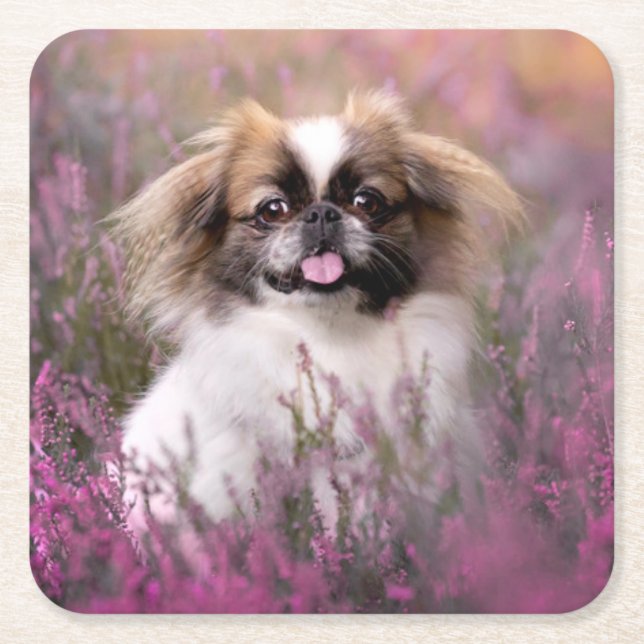 Cutest Baby Animals | Pekingese Puppy Rechteckiger Pappuntersetzer (Vorderseite)
