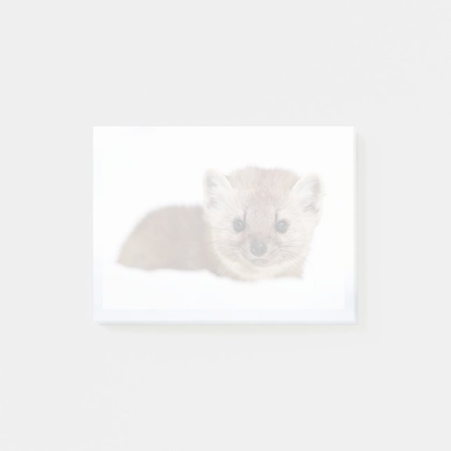 Cutest Baby Animals | Pine Marten Post-it Klebezettel (Vorderseite)