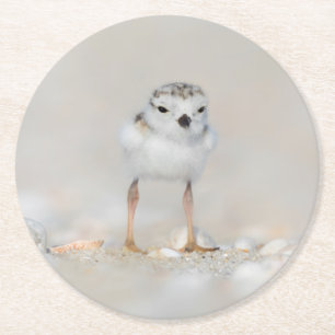 Cutest Baby Animals   Piping Plover Chick Runder Pappuntersetzer