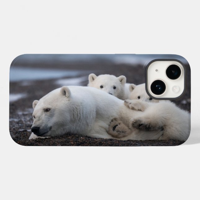 Cutest Baby Animals | Polar Bear Family Alaska Case-Mate iPhone Hülle (Rückseite (Horizontal))