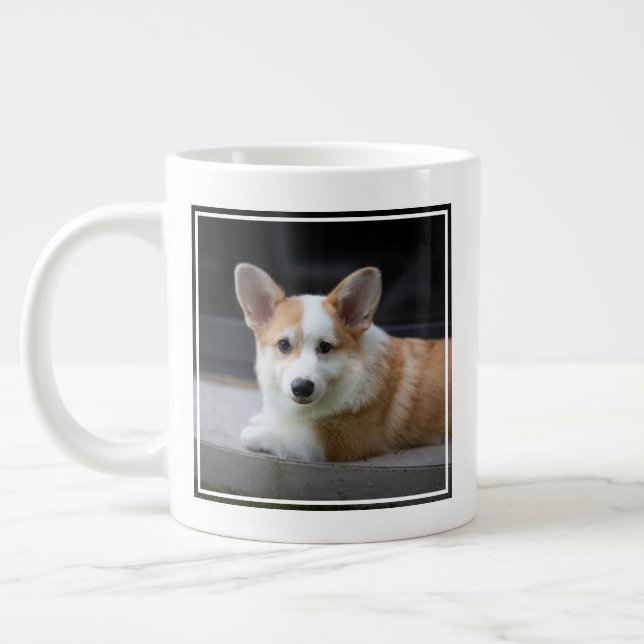 Cutest Baby Animals | Relaxing Corgi Puppy Jumbo-Tasse (Links)