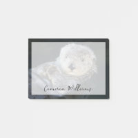 Cutest Baby Animals | Sea Otter Floating