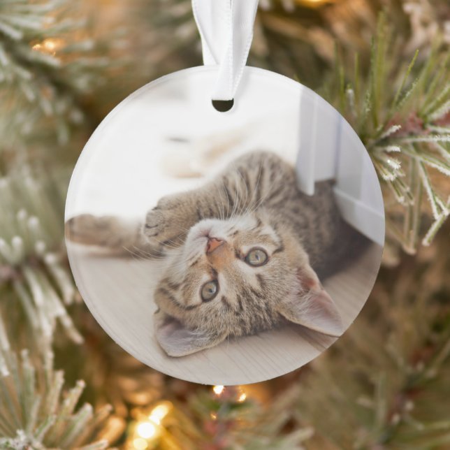 Cutest Baby Animals | Shorthair Tabby Kitten Ornament (Baum)