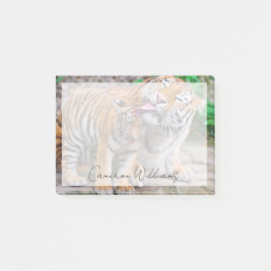 Cutest Baby Animals   Siberian Tiger Family Post-it Klebezettel