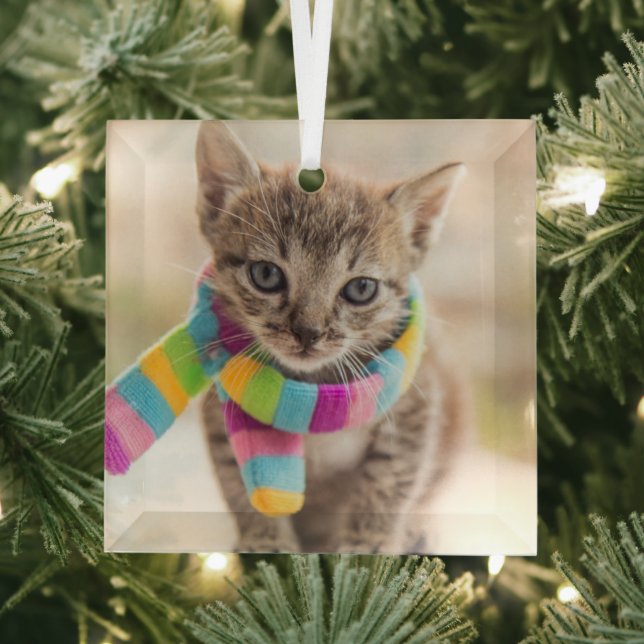 Cutest Baby Animals | Tabby Kitten Rainbow Scarf Ornament Aus Glas (Insitu)
