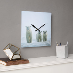 Cutest Baby Animals   Three Young Polar Bears Quadratische Wanduhr