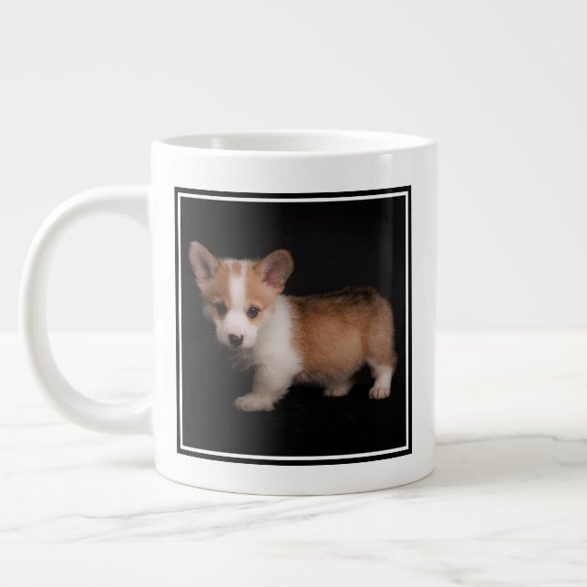 Cutest Baby Animals | Tiny Corgi Jumbo-Tasse (Links)